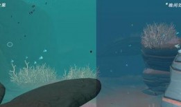 暑假最新爆料事件是什么,揭秘校园神秘事件真相