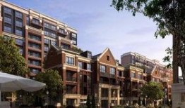 狮山最新爆料消息查询,揭秘神秘项目背后的惊人真相！