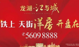 南阳街道爆料事件最新,事件真相逐步浮出水面