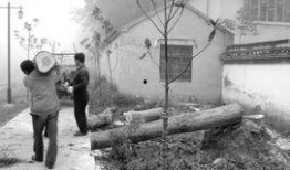 滁州市天长市最新爆料,揭秘神秘事件背后的真相！”