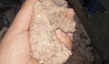 红薯淀粉最新爆料视频,最新爆料视频深度解析