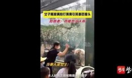 无锡游客爆料事件视频最新,景区冲突引发社会关注