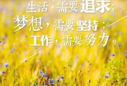 早安最新爆料图片大全集,最新图片大全集精彩瞬间回顾