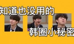 你不知道的韩圈最新爆料,最新爆料震惊娱乐圈，神秘事件引热议