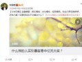 祖德最新的爆料真实性,揭秘事件真相，真相令人震惊！