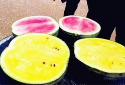 最新吃瓜爆料四川