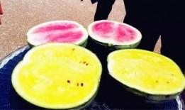 最新吃瓜爆料四川