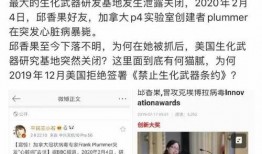 外交部最新爆料,揭秘国际风云变幻背后的真相