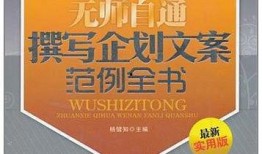 策划最新爆料文案范文怎么写,揭秘项目核心亮点与未来展望