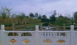 郑州保和寨最新爆料,揭秘神秘事件背后的真相