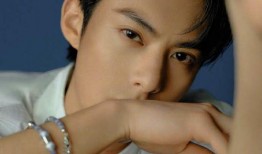 最新爆料王鹤棣图片视频,帅气魅力引网友热议