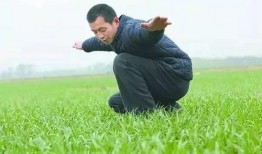 假化肥农药爆料最新消息