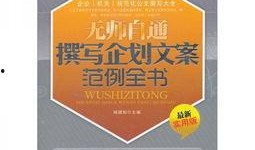 策划最新爆料文案范文怎么写,揭秘项目核心亮点与未来展望