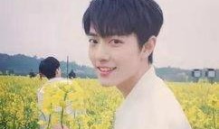 最新大爆料杨紫肖战,甜蜜互动引网友热议