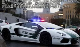 郑州警车爆料视频最新版