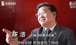 文峰最新爆料事件,揭秘事件背后惊人真相