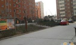 郑州花园路最新爆料公示,揭秘改造升级背后的故事