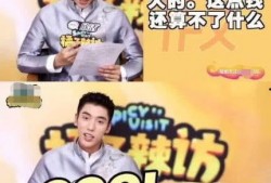 王子最新爆料大号是什么,揭秘神秘大号背后的真相