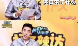 王子最新爆料大号是什么,揭秘神秘大号背后的真相