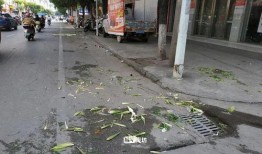 桂平最新爆料事件,揭秘事件背后惊人真相