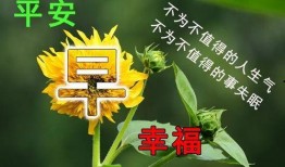 早安最新爆料图片大全集,最新图片大全集精彩瞬间回顾