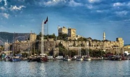 欧比岛最新爆料信息