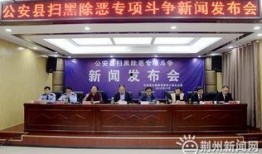 荆州爆料最新新闻事件,惊现重大事件，真相令人震惊！