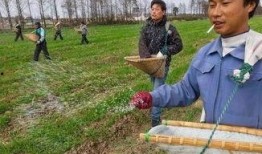 假化肥农药爆料最新消息