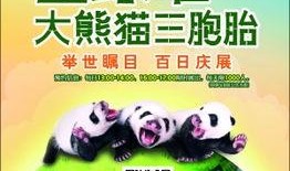 今日娱乐最新爆料栏在哪,最新爆料栏大揭秘！