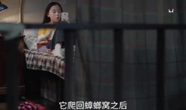 蛇姐最新爆料视频在线看,精彩内容抢先看！