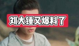 刘大锤最新爆料网红,网红幕后真相大曝光！