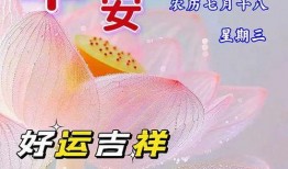 早安最新爆料图片大全集,最新图片大全集精彩瞬间回顾