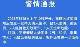 石家庄高三爆料案件最新